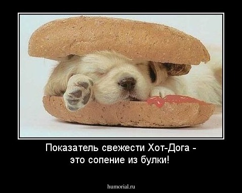 Показатель свежести Хот-Дога - это сопение из булки!