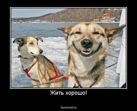 Жить хорошо!