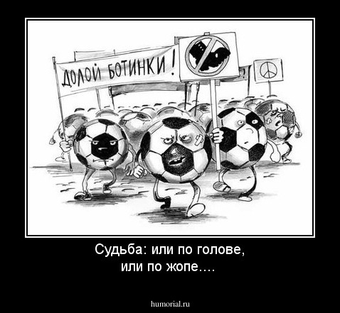 Судьба:    или по голове,    или по жопе....