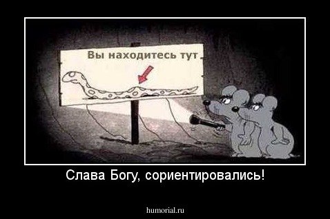 Слава Богу, сориентировались!