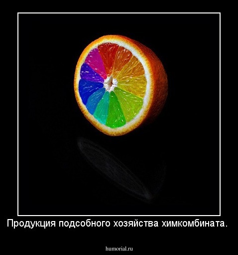 Продукция подсобного хозяйства химкомбината.