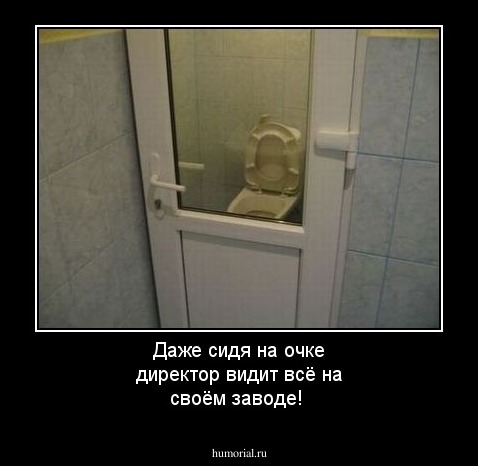 Даже сидя на очке директор видит всё на своём заводе!