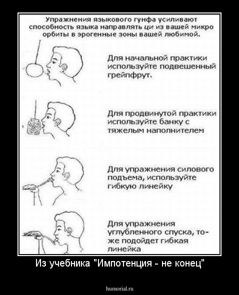 Из учебника "Импотенция - не конец"