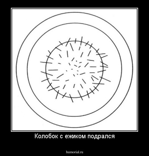 Колобок с ежиком подрался