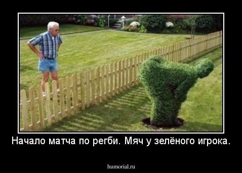 Начало матча по регби. Мяч у зелёного игрока.