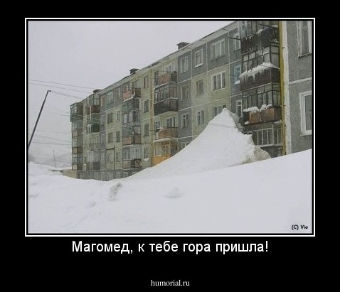 Магомед, к тебе гора пришла!