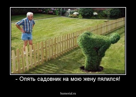- Опять садовник на мою жену пялился!