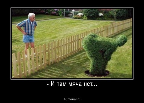 - И там мяча нет...