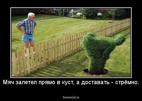 Мяч залетел прямо в куст, а доставать - стрёмно.