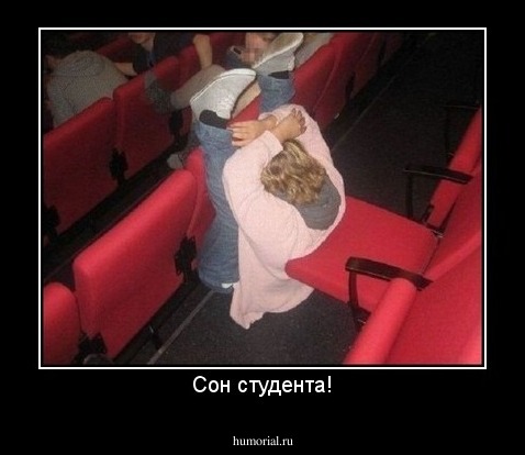 Сон студента!
