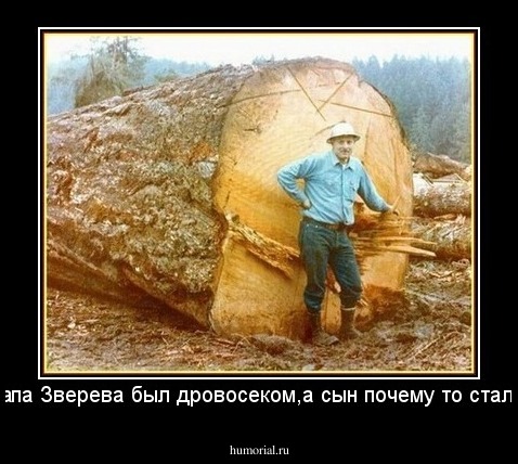 Папа Зверева был дровосеком,а сын почему то стал...