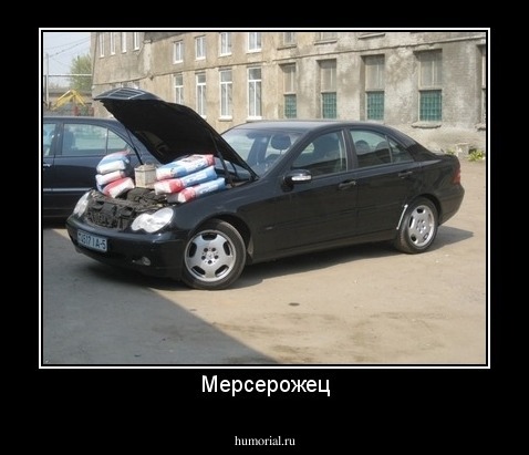 Мерсерожец
