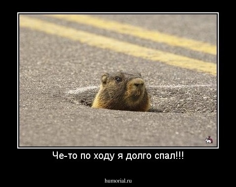 Че-то по ходу я долго спал!!!