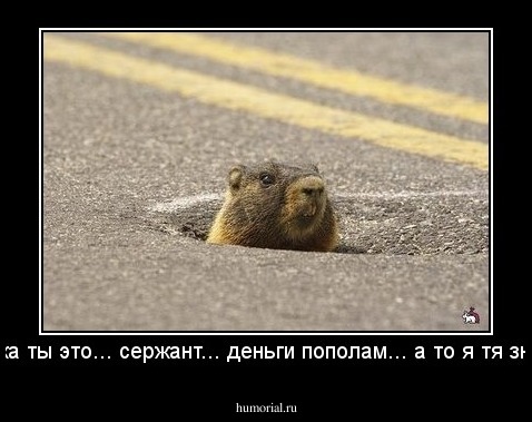Тока ты это... сержант... деньги пополам... а то я тя знаю