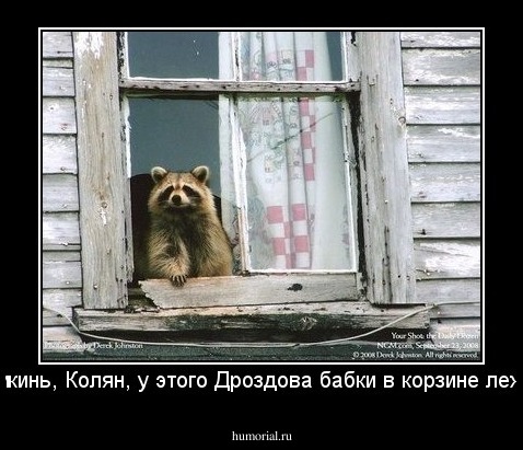 Прикинь, Колян, у этого Дроздова бабки в корзине лежат!