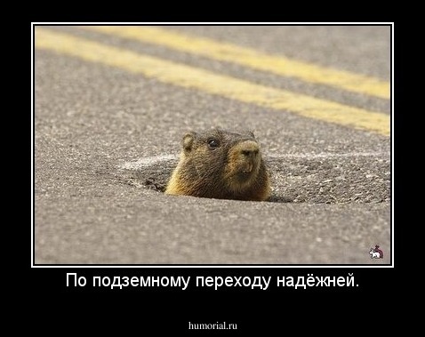 По подземному переходу надёжней.