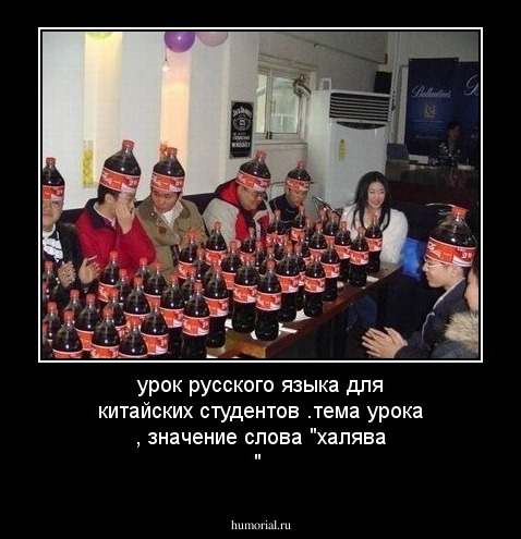 урок русского языка для китайских студентов .тема урока , значение слова "халява " 