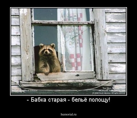 - Бабка старая - бельё полощу!