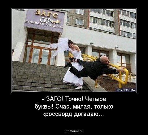 - ЗАГС! Точно! Четыре буквы! Счас, милая, только кроссворд догадаю... 