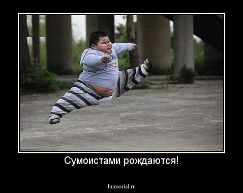 Сумоистами рождаются!