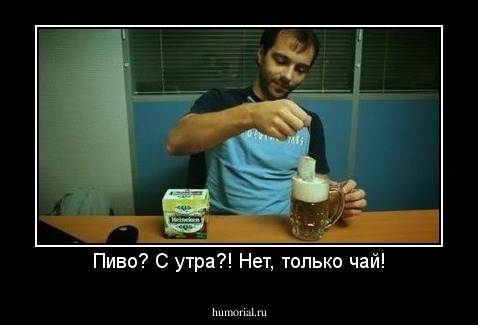Пиво? C утра?! Нет, только чай!