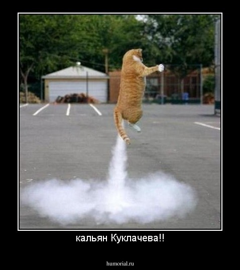 кальян Куклачева!!