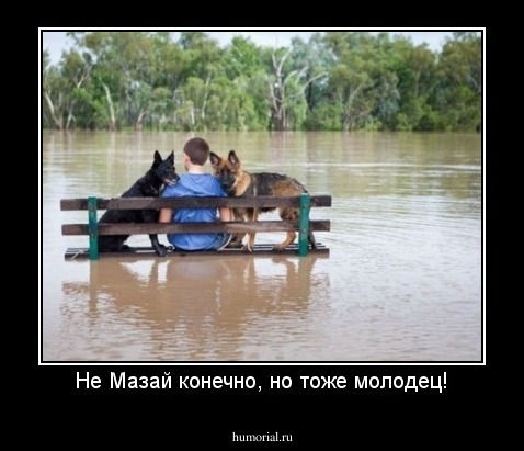 Не Мазай конечно, но тоже молодец!