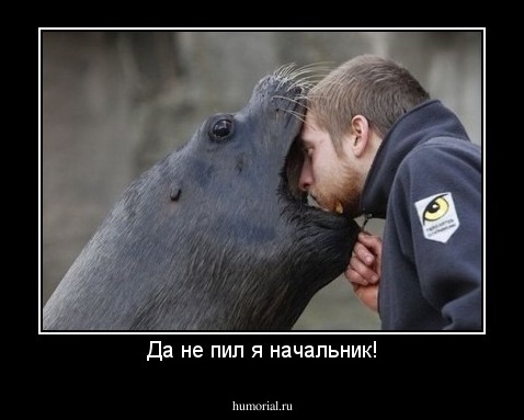 Да не пил я начальник!