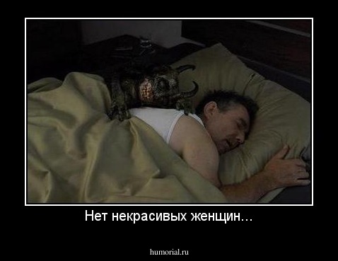 Нет некрасивых женщин...