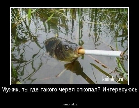 Мужик, ты где такого червя откопал? Интересуюсь