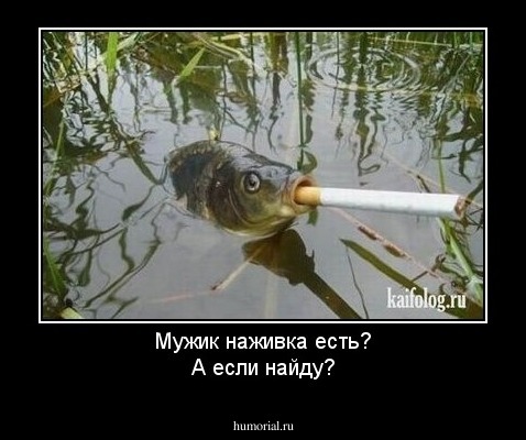 Мужик наживка есть?
А если найду?