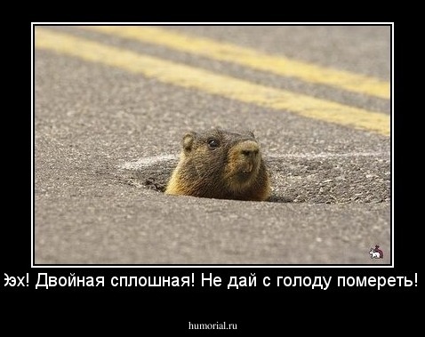 Ээх! Двойная сплошная! Не дай с голоду помереть!!!
