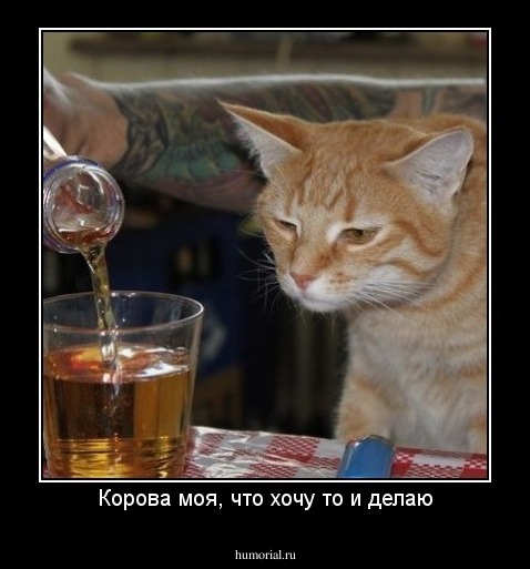 Корова моя, что хочу то и делаю