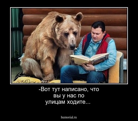 -Вот тут написано, что вы у нас по улицам ходите...