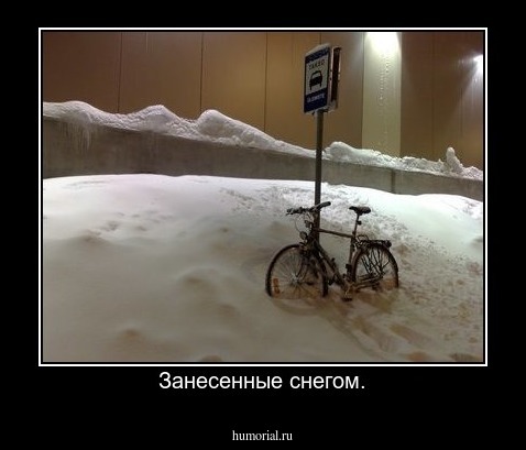 Занесенные снегом.