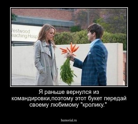 Я раньше вернулся из командировки,поэтому этот букет передай своему любимому "кролику."