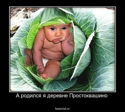 А родился я деревне Простоквашино 