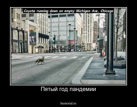 Пятый год пандемии