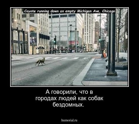 А говорили, что в городах людей как собак бездомных.