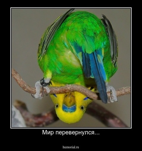 Мир перевернулся...