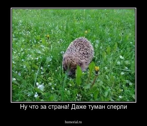 Ну что за страна! Даже туман сперли