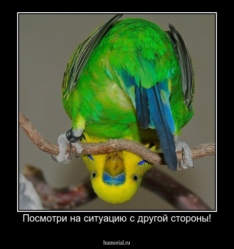 Посмотри на ситуацию с другой стороны!