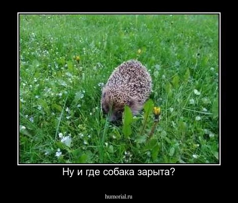 Ну и где собака зарыта?