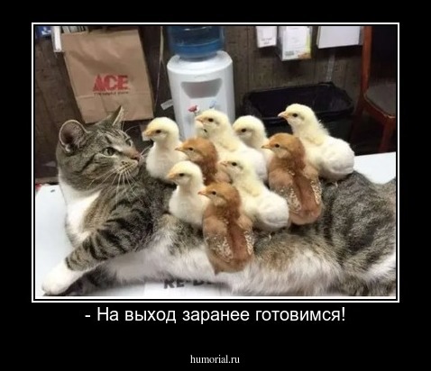 - На выход заранее готовимся!
