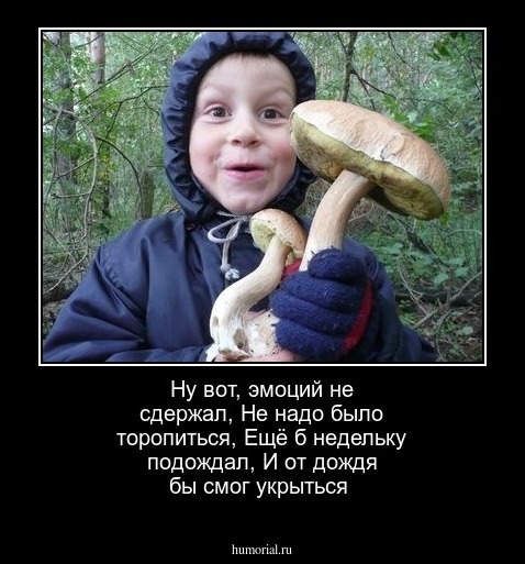 Ну вот, эмоций не сдержал,
Не надо было торопиться,
Ещё б недельку подождал,
И от дождя бы смог укрыться