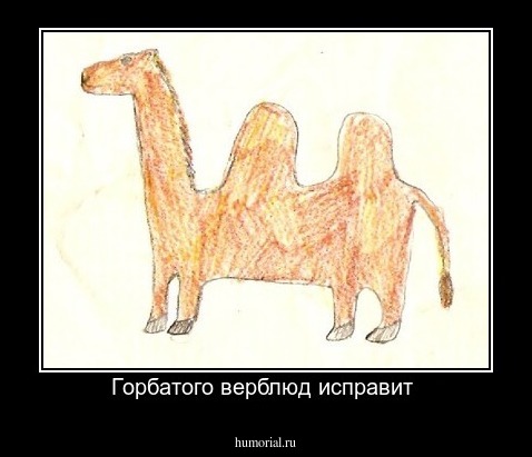 Горбатого верблюд исправит 