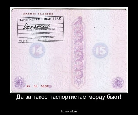 Да за такое паспортистам морду бьют!