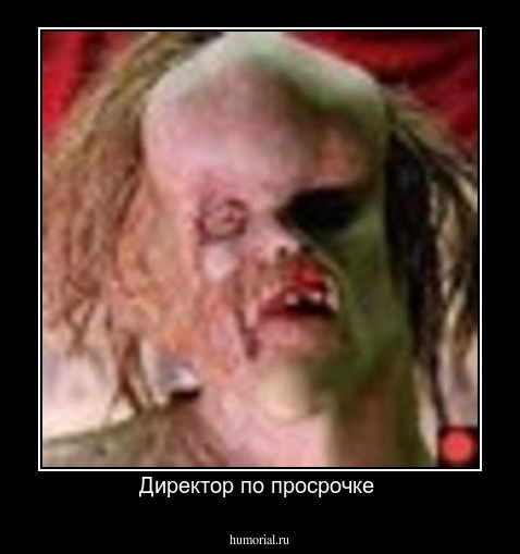 Директор по просрочке 
