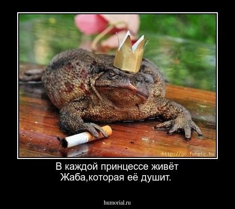 В каждой принцессе живёт Жаба,которая её душит.