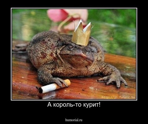 А король-то курит!
